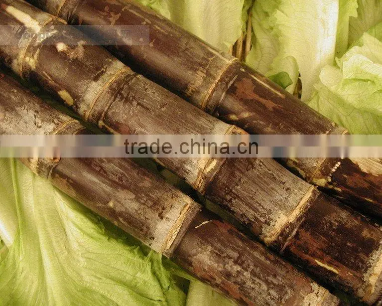 BT-108D sugar cane crusher