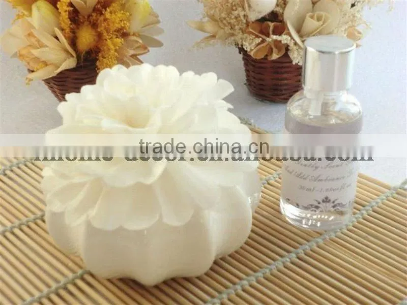 Popular 100ml home fragrance aroma reed diffuser