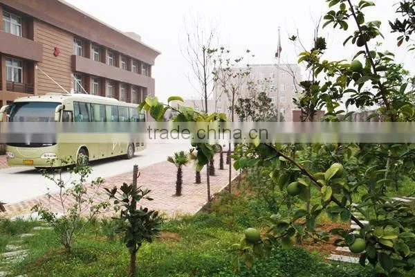 Factory Direct Sell Big Driving Type Hot Solvent Road Marking Equipment