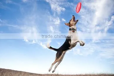 2015 ningbo promotional 25cm 85g cheap sticker customed frisbee