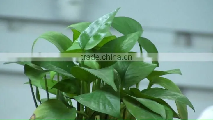 Wide angle high quality hd video conference network auto tracking ptz ip camera