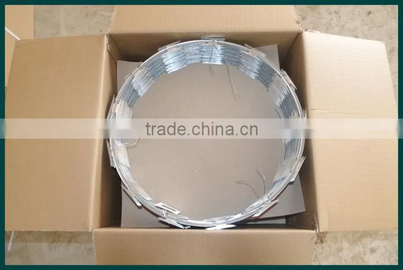 Razor barbed wire (golden factory)
