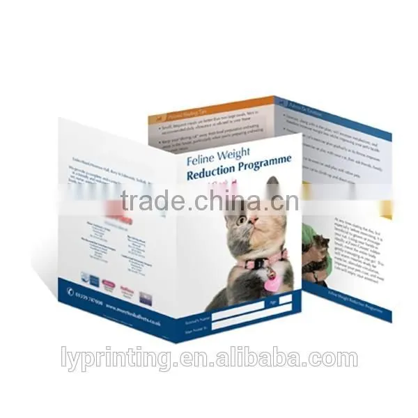 beautiful cheap flyer printing, die-cut flyer printing, fold flyer printing