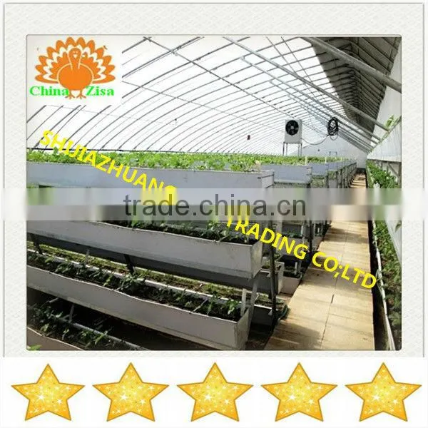 HDPE greenhouse growing tray and grow box