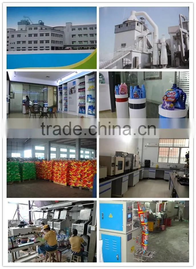 Rich Foam Hands Wash Detergent Powder