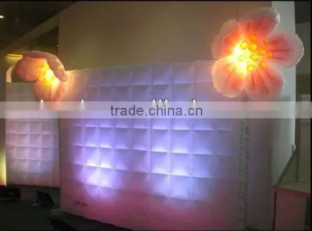 Wedding Decoration Inflatable Wall