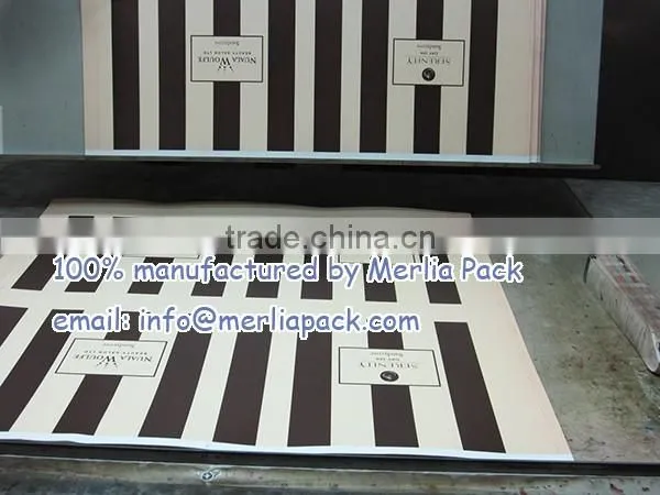 Beauty Salon White Kraft Paper Bag Day Spa Cream and Brown Stripe Bags