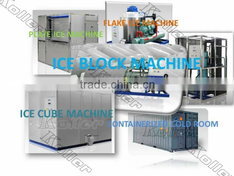 a simple ice block plant in container with cold room