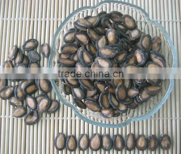 wholesale delicious red watermelon seeds