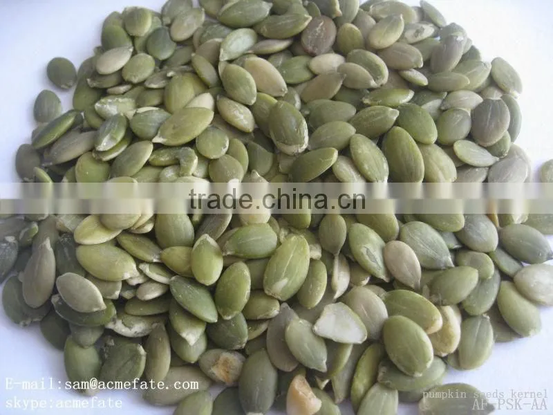 HACCP & ISO roasted and salted pumpkin seeds kernel