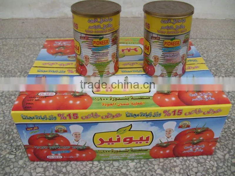 205g brix 28-30 Canned Tomato Paste with HACCP,canned foods glass jar