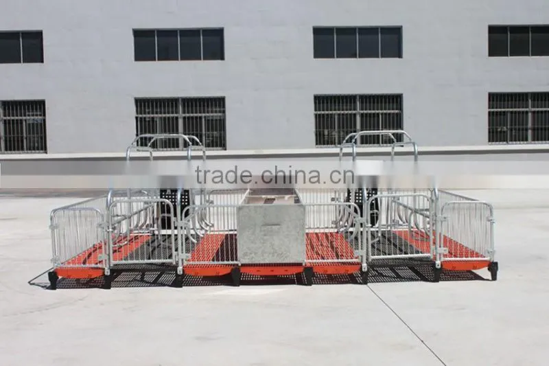 Poultry Feed Processing Equipment Stainless Steel Pigs Stall Nursery Crates