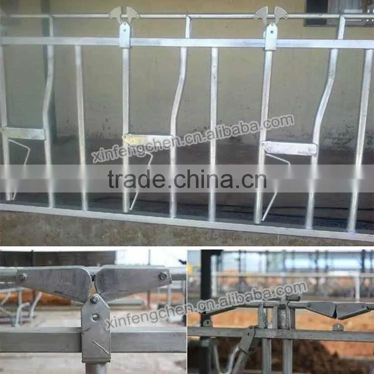 Livestock equipment for Cattle farm equipment