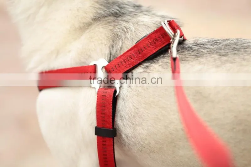 Durable wholesale pet dog leash and harness