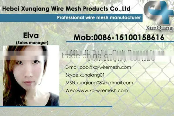 cucumber climb net/bean plant support net /Plant Support Net(Manufacturer)