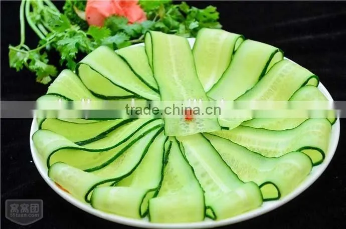 Powerful vegetable cutting machine/ Automatic meat slicer machine HJ-CM012