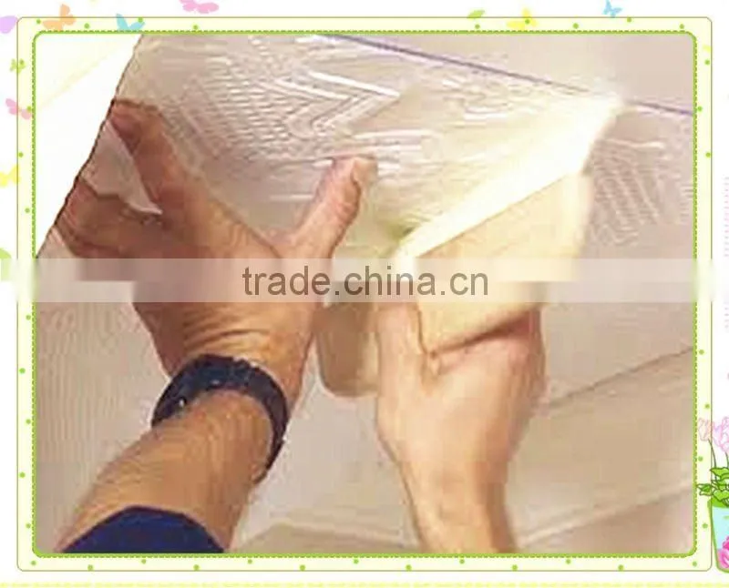 2*16 row plastic block and PP filament paint wall brush