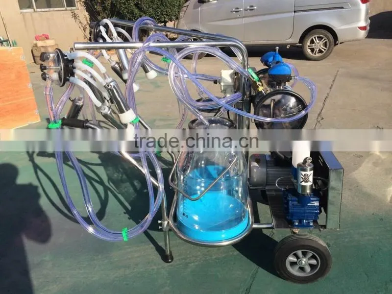 piston double bucket milk machine