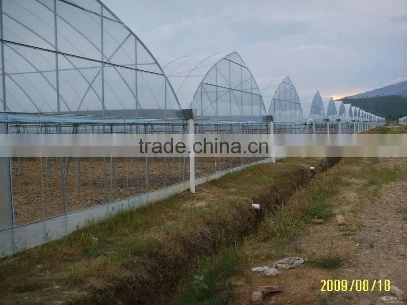 200 Micron Plastic Film Greenhouse For Vegetables