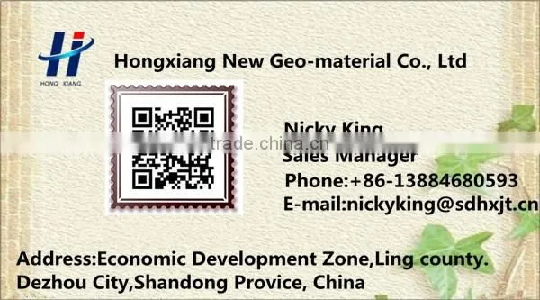 Used in road constructions textured geocell/Perforated PE Geocell