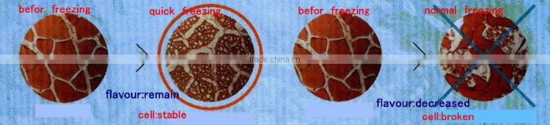 Durable Restaurant Supplies liquid instantaneous freezer at high cost performance