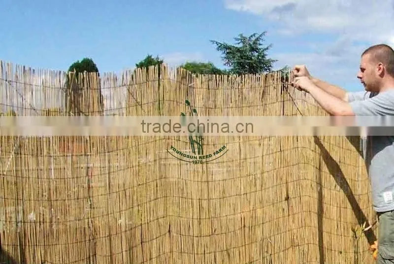 bamboo reed natural fence