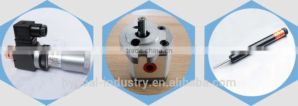 Hydraulic parts mini Gear Pump