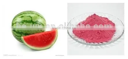 Belt vacuum powder continuous dryer for watermelon powder