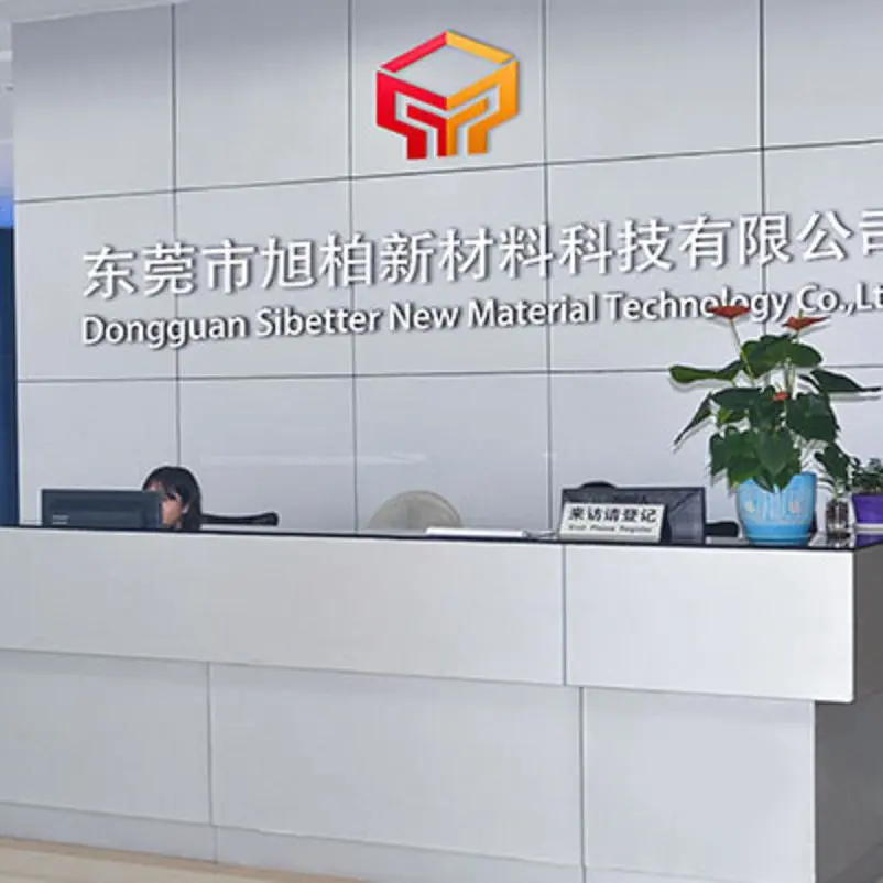 Dongguan Xubai New Material Technology Co., Ltd. company overview - view 1