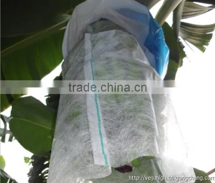 Blue PE bags banana protective bags with high quality