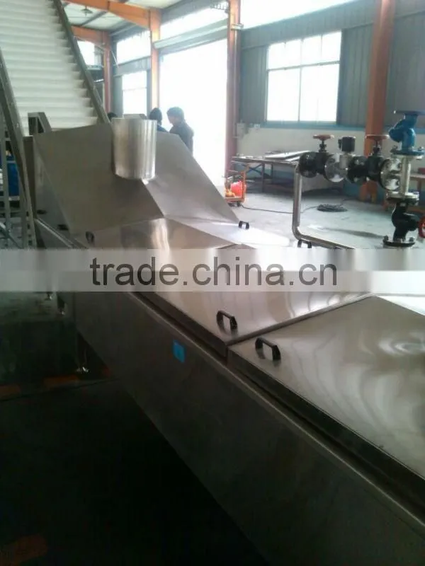 Pomegranate arils processing machine