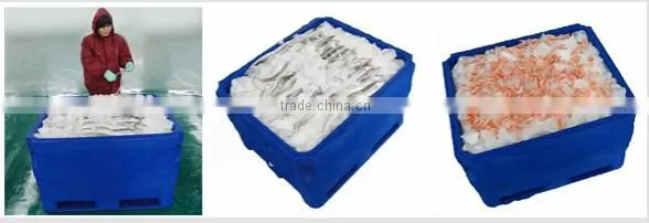 1000L Hardside insulated cooler tote for fish, fish cooler tote for Marine, Boat