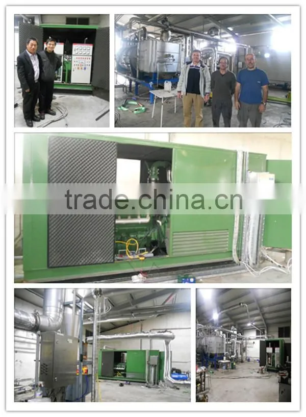 CE certified 10kw - 1mw methane coal gas generator /shale gas generator for sale