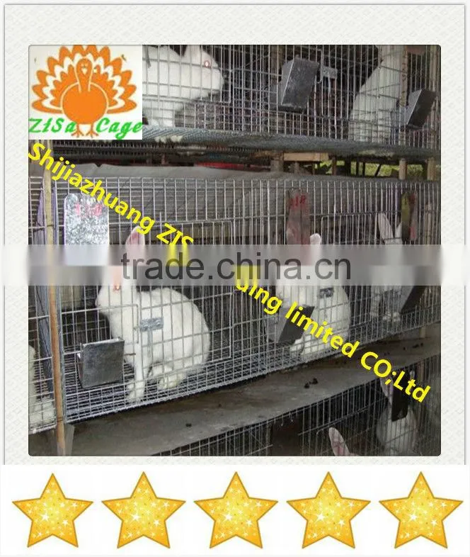 24 rabbits Automatic rabbit breeding cage equipment in kenya