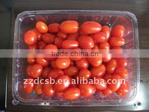 PET clear plastic frozen food tray