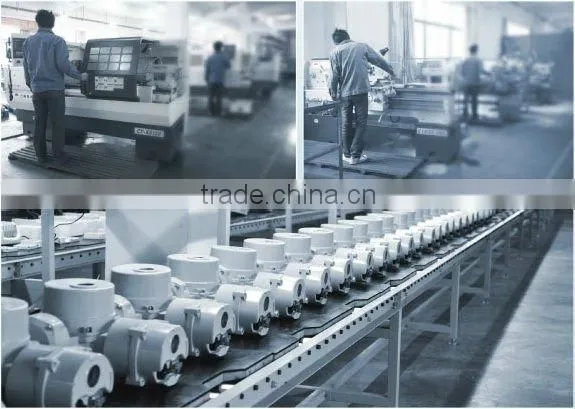 Quarter-turn valve electric actuator