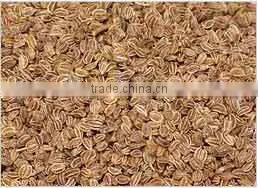 Celery Seeds