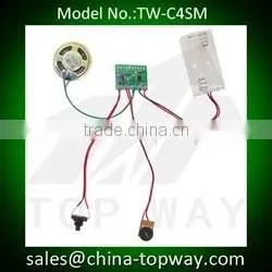Sound module with motion sensor for POS/POP cardboard display