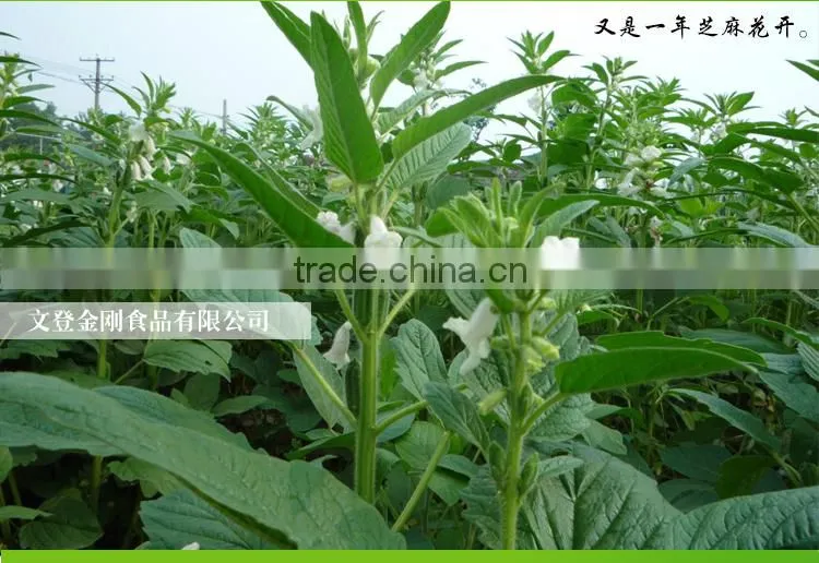 100%pure sesame oil/ Refined Pure Gingelly Oil