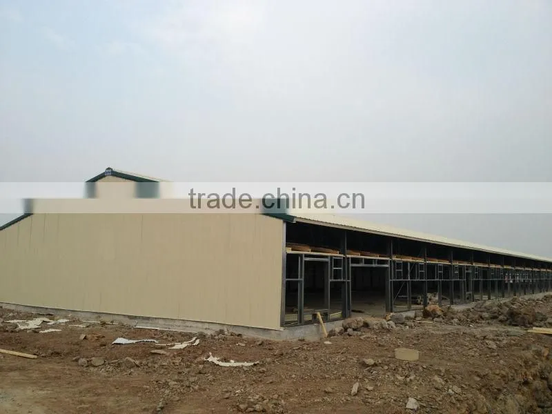 poultry chicken layer broiler sheds/house building design