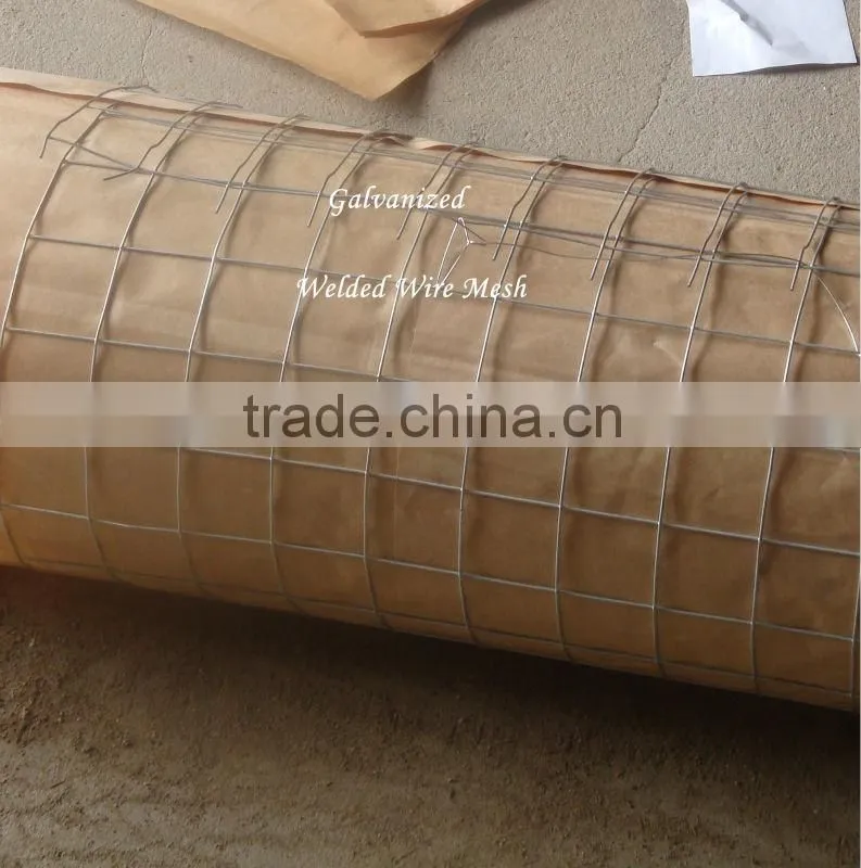 Zinc Coated&PVC Welded Wire Mesh