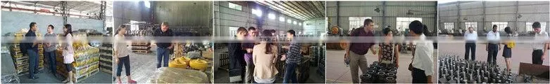 bulldozer spare parts-Track roller,Top roller,Idler,Sprocket,Segment group,Track chain link