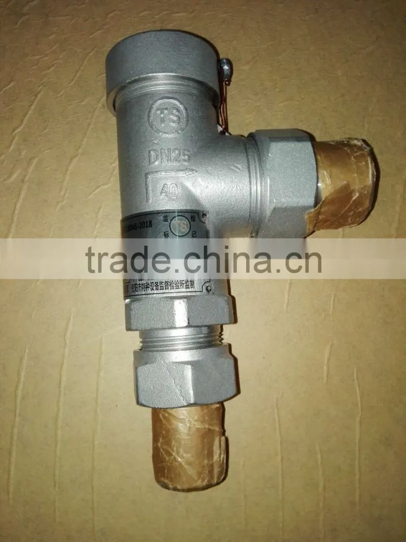 DN25 2.42MPa Safety Valve