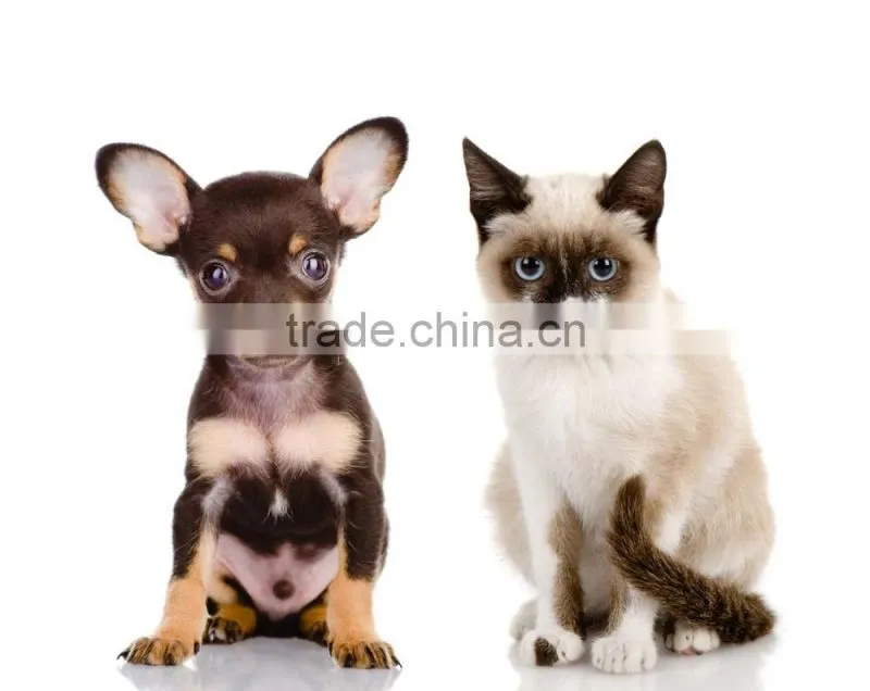 CE, ISO apprroved portable veterinary ultrasound scanner with low price