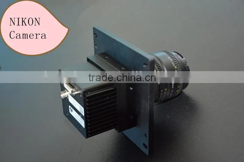 garlic color sorter, belt color sorter