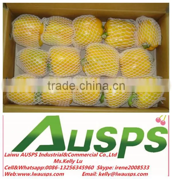 Fresh yellow capsicum