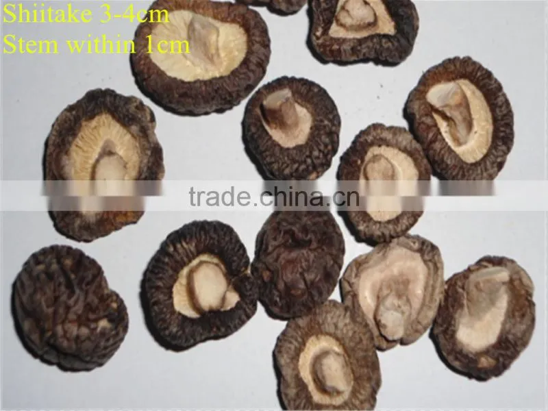 whole dried shiitake mushroom price 3-4cm