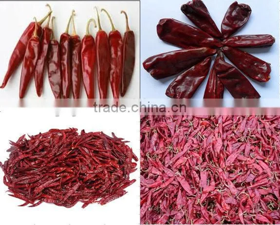 Dry red chilli,tianying chilli,yidu chilli,jinta chilli