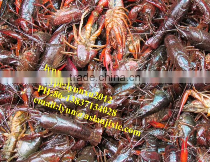 stainless steel lobster grade sorting machine