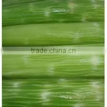 cassava peeler and slicer /cassava peeling machine